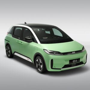 BYD D1